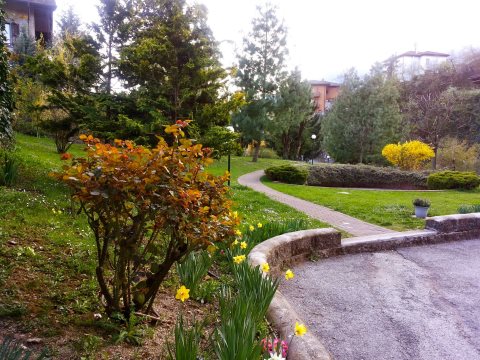 Parco privato Conca d'Oro interno 12